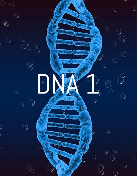 DNA-1 dna 1 corso base theta healing