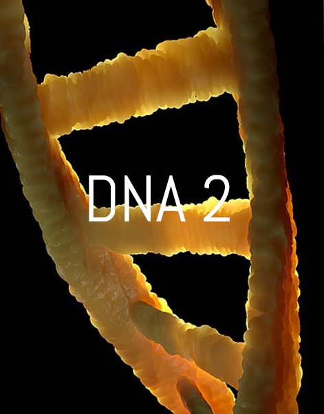 DNA-2-corso-Theta-Healing dna 2 corso avanzato theta healing