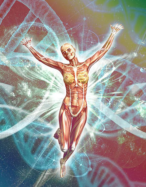 Corso-Anatomia-Intuitiva-Scuola-Theta-Meditazione